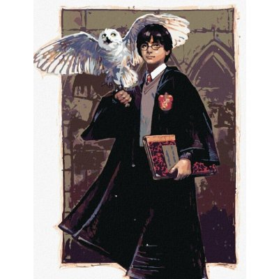 Malování podle čísel HARRY POTTER A HEDVIKA V BRADAVICÍCH – Zbozi.Blesk.cz