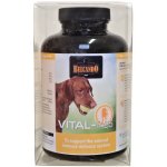 Belcando Vital 120 tbl – Hledejceny.cz