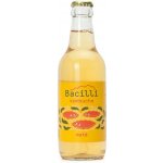 Bacilli fermentovaná limonáda kombucha Maté 330 ml – Hledejceny.cz