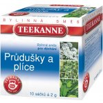 Teekanne Průdušky a plíce bylinný čaj 10 x 2 g – Hledejceny.cz