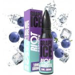 Riot Bar EDTN Shake & Vape Grape Ice 10 ml – Zboží Dáma
