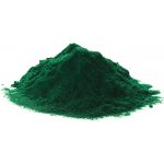 Zdravý den Spirulina bio prášek 100 g – Hledejceny.cz
