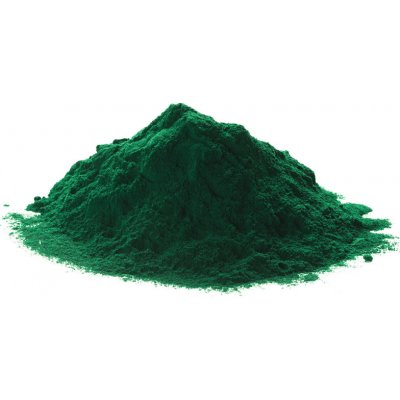 Zdravý den Spirulina bio prášek 100 g – Hledejceny.cz
