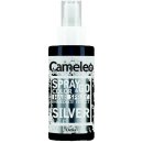 Delia Cosmetics Cameleo Spray & Go silver 150 ml