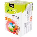 Babio ovocný Bio 20 x 1,5 g – Zboží Dáma