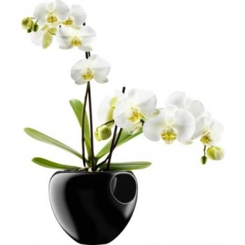 Eva Solo květináč na orchidej Orchid pot černá, 6 17 x 15 cm od 1 672 Kč -  Heureka.cz