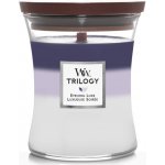 WoodWick Trilogy Warm Woods 453,6 g – Zboží Dáma