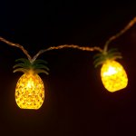 Family LED světelný řetěz s ananasy, 1,65 m, 10 LED, teplá bílá – Hledejceny.cz