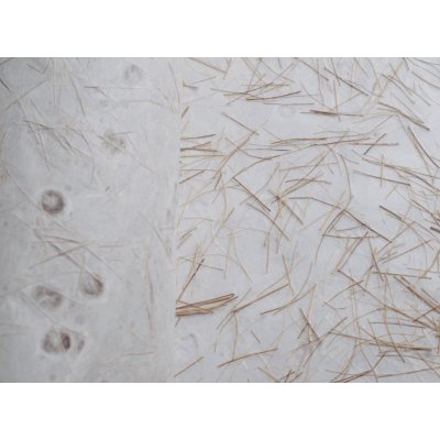 Sapaimport Japonský ruční papír - RAMIE vodoznak různé odstíny Velikost: 23x32 cm, Barevnost: růžová – Zboží Mobilmania