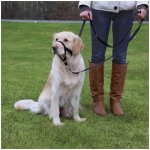 Trixie TOP TRAINER výcviková ohlávka M – Zboží Dáma Trixie TOP TRAINER výcviková ohlávka M – Zboží Dáma