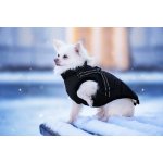 Vsepropejska Mansi zimní bunda pro psa s postrojem – Zboží Dáma