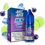 Just Juice Salt ICE Blackcurrant & Lime 10 ml 11 mg – Hledejceny.cz