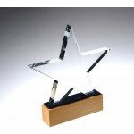 Plaketa Hvězda s dřevěným podstavcem – Zboží Dáma