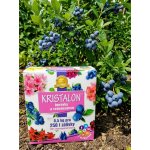 Agro Kristalon borůvky a rododenrony 0,5 kg – Sleviste.cz
