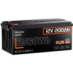 Humsienk LiFePO4 12V 200Ah 250A BMS – Zboží Živě