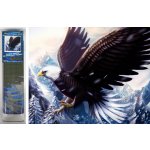 Norimpex Diamantové malování Orel 30 x 40 cm – Sleviste.cz