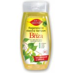 BC Bione Cosmetics vlasový šampon Bříza 255 ml – Hledejceny.cz