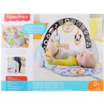 Fisher Price Dečka pro aktivní zábavu 2v1 – Hledejceny.cz