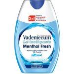 Vademecum Menthol Fresh 2v1 75 ml – Hledejceny.cz