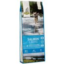 ISE River Junior Salmon with Berries Grain Free 12 kg