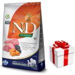 N&D Pumpkin Dog Adult Medium & Maxi Grain Free Lamb & Blueberry 12 kg – Zbozi.Blesk.cz