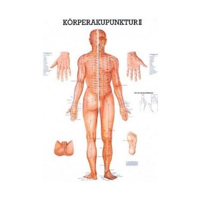 Rüdiger-Anatomie Naučný plakát Akupunktura těla II – Zboží Mobilmania