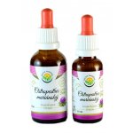 Salvia Paradise Ostropestřec mariánský AF tinktura 30 ml – Hledejceny.cz