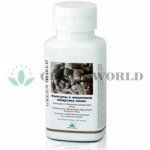 Green World Matsutake Plus 100 kapslí – Hledejceny.cz
