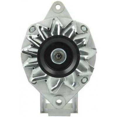 Alternátor Thermoking 65A A13N296 +Line – Hledejceny.cz