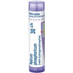 NATRUM PHOSPHORICUM POR 30CH GRA 1X4G – Hledejceny.cz