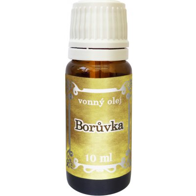 Medistar Borůvka vonný olej 100 ml – Hledejceny.cz