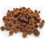 mech-mech.cz Sušená Casurina - Přírodní 100g – Zboží Dáma