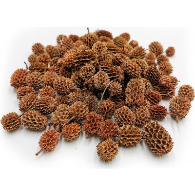 mech-mech.cz Sušená Casurina - Přírodní 100g – Zboží Dáma