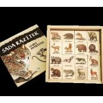 Lesní svět Dřevěná razítka 16 ks Lesní zvířátka – Zbozi.Blesk.cz