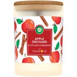 Air Wick Essentials Oils Apple Orchard & Ceylon Cinnamon 185 g – Hledejceny.cz