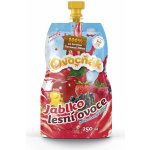 Ovocňák Mošt jablko lesní ovoce 250 ml – Sleviste.cz