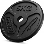 Marbo Sport Litinová zátěžová deska slim 5 kg 31 mm – Hledejceny.cz