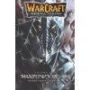 Kniha WarCraft: The Sunwell Trilogy #2: Shadows of Ice