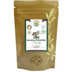 Salvia Paradise Tulsí bazalka posvátná mletá BIO 100 g – Hledejceny.cz