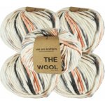 we are knitters Sada 5x příze The Wool – melírovaná Colorado