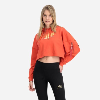 Alpha Industries Gold Logo COS Hoody Wmn 106044 577 – Zboží Mobilmania