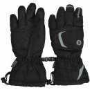 Blizzard rider junior ski gloves back silver