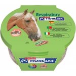 Horslyx Respiratory 0,65 kg – Sleviste.cz