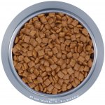 Royal Canin Kitten 2 x 10 kg – Hledejceny.cz