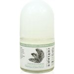 Odylique prebiotický roll-on bez vůně pro nejcitlivější pokožku 50 ml – Hledejceny.cz