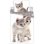 Jerry Fabrics povlečení Kitten grey 140x200 70x90 – Zbozi.Blesk.cz
