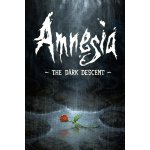 Amnesia: The Dark Descent – Hledejceny.cz