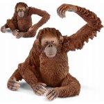 Schleich 14775 Orangutan – Sleviste.cz