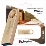 Kingston DataTraveler SE9 (Gen 3) 256GB DTSE9G3/256GB – Zboží Živě