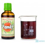 Bylinné kapky Paměť kapky tinktura 50 ml – Hledejceny.cz